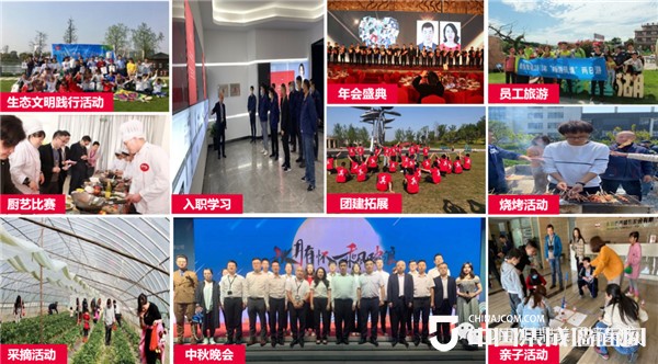 喜讯丨鼎美上榜浙江省2022年“幸福共同体企业领头雁行动”名单