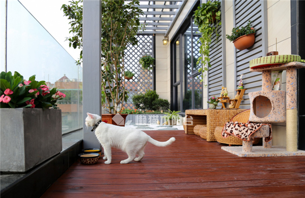懒猫木阳台定制装修效果图图片